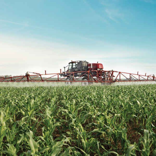 Captura de tela 2024-06-05 164709